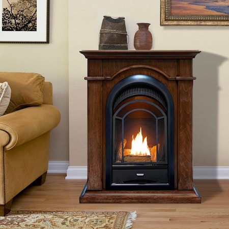 Procom Dual Fuel Ventless Gas Fireplace System - 10,000 Btu, T-Stat Contr FS100T-W